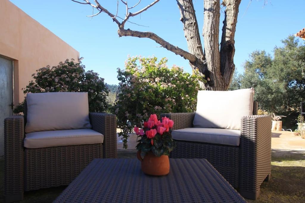 Preciosa Finca Rustica Con Piscina Privada Apartment