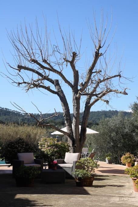 Preciosa Finca Rustica Con Piscina Privada * Capdepera (Mallorca)